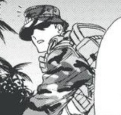 cyrus grey fox.png