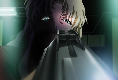 iron sights aps.jpg